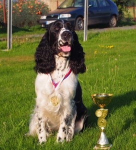 MVP Mladá Boleslav 29.8.2015